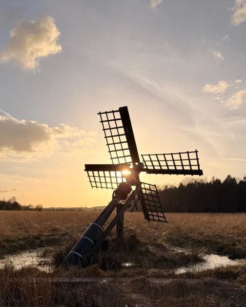 Molen in een veenlandschap bij laagstaande zon