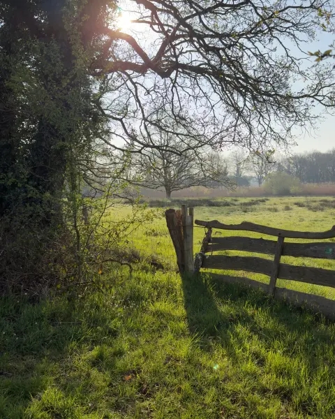 Houten hek bij een zonnig groen veld