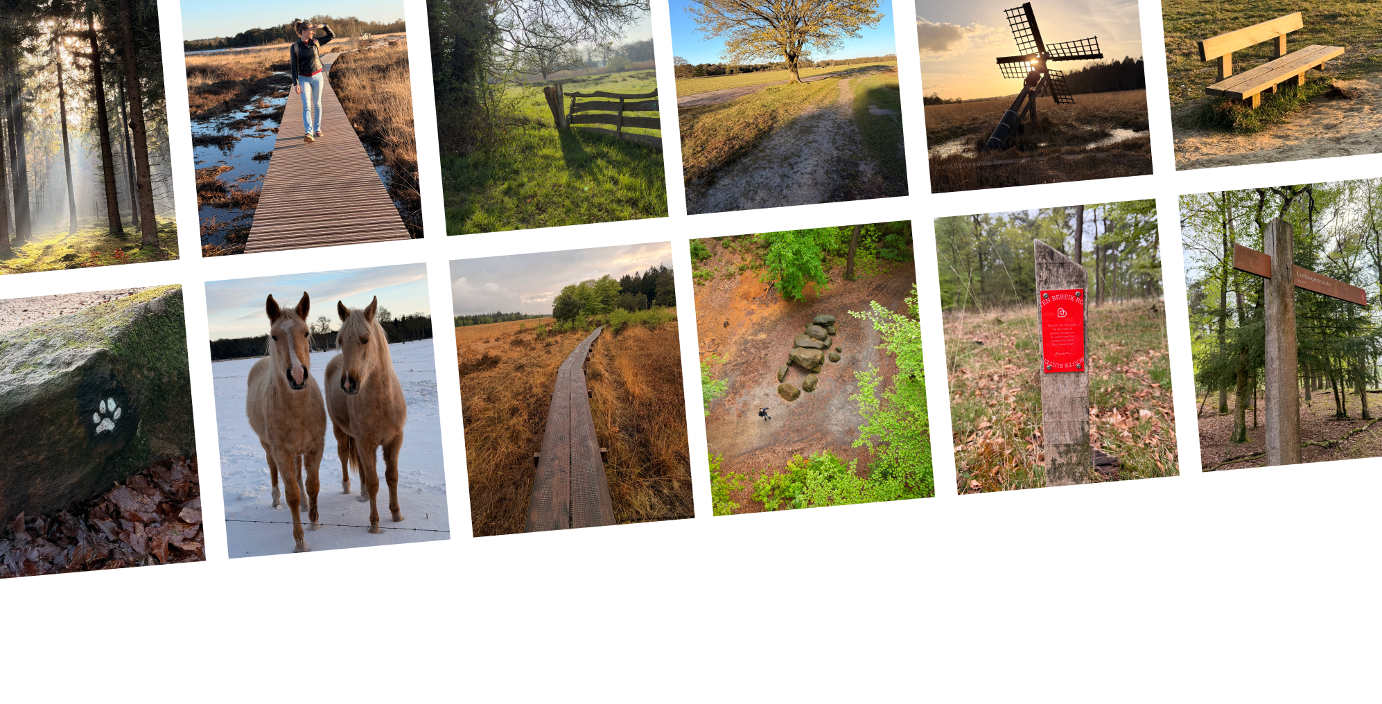 Collage van wandelplekken, vlonderpaden en buitenmomenten