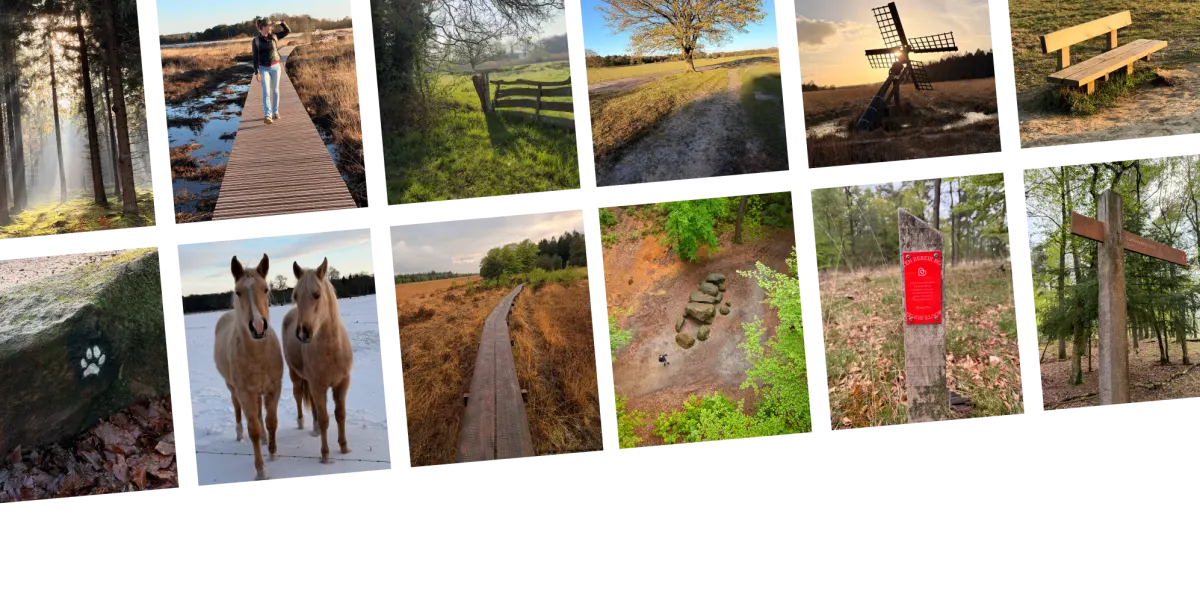 Collage van wandelplekken, vlonderpaden en buitenmomenten