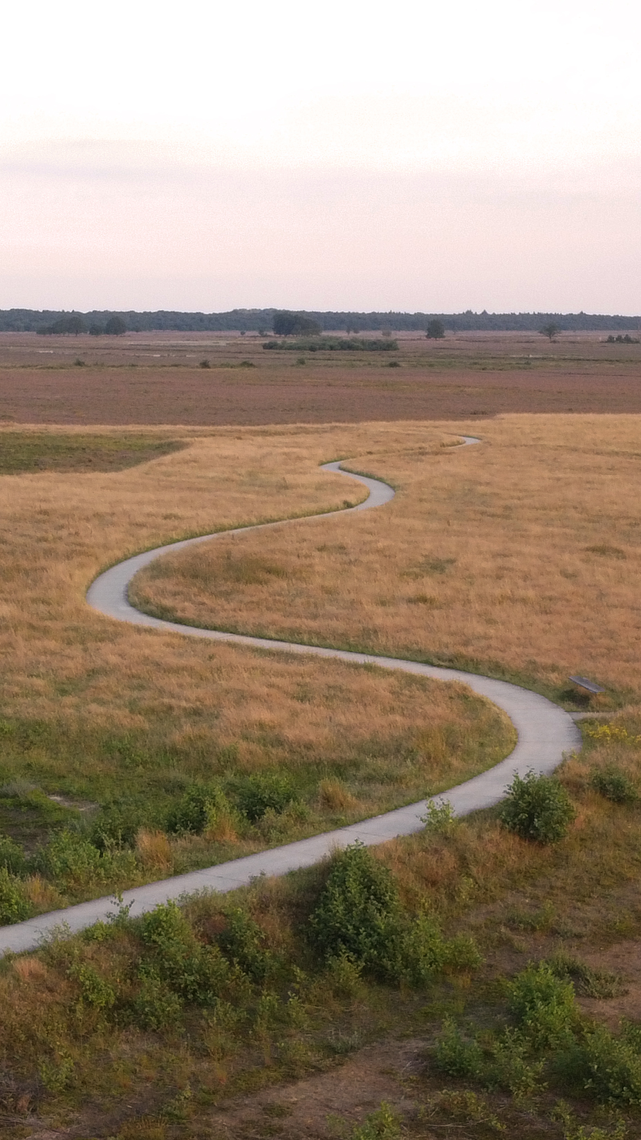 Toegankelijke Wandelroutes met Kinderwagen/Rolstoel in Drenthe