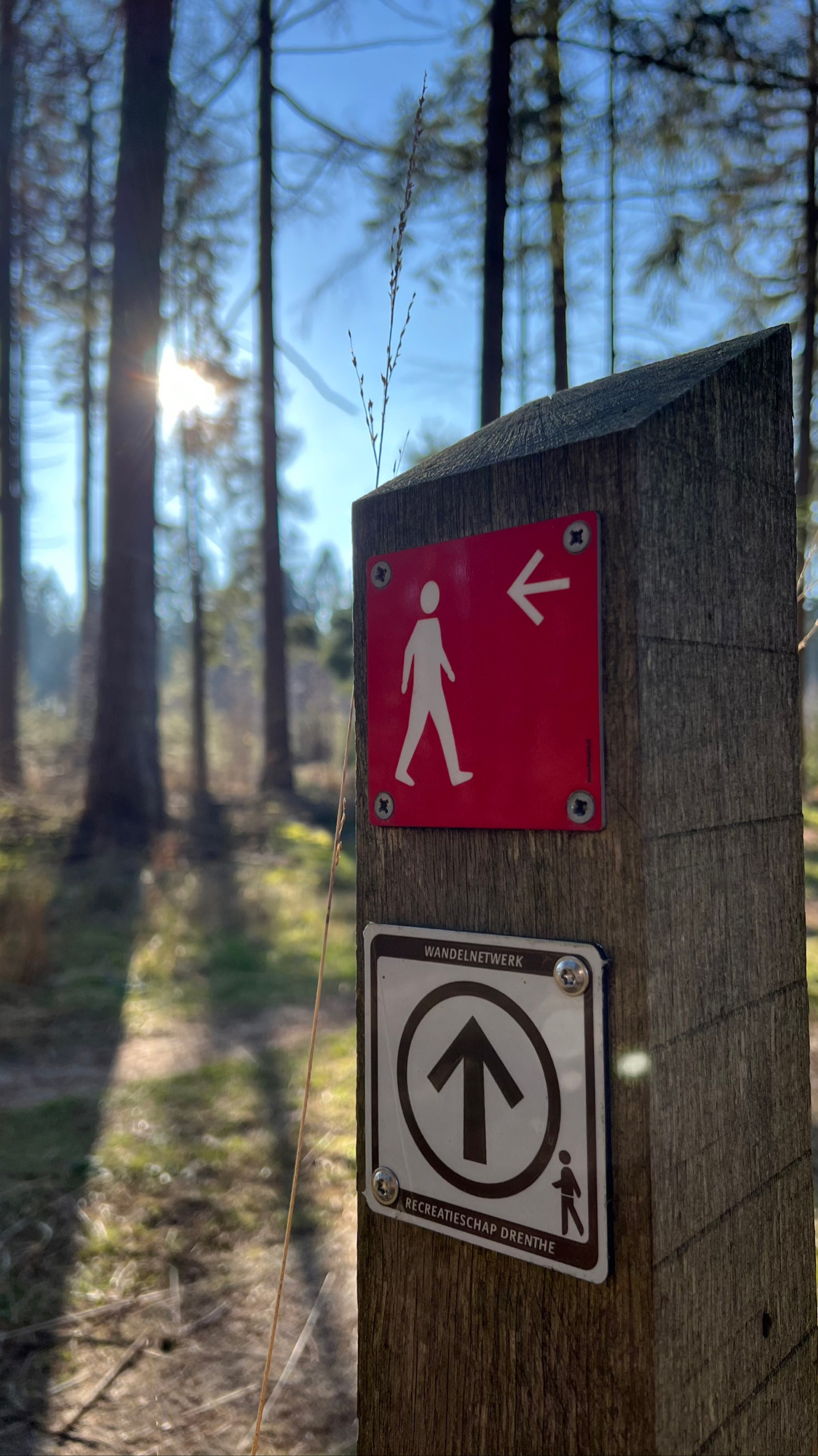 Wandelen langs het Esmeer (3km)