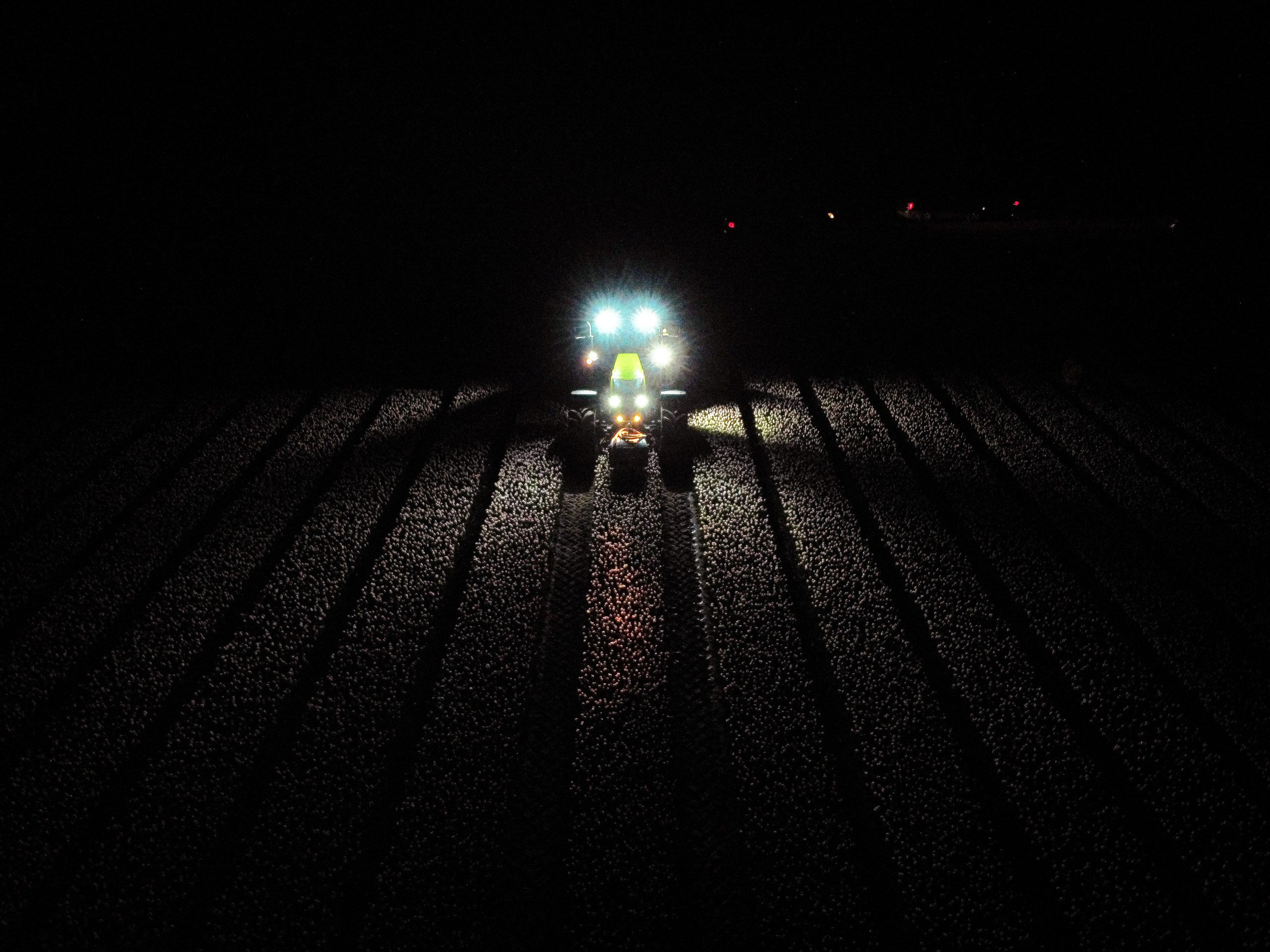 Tulpenpracht bij Nacht 2026 – 24 & 25 april – Route & Praktische info