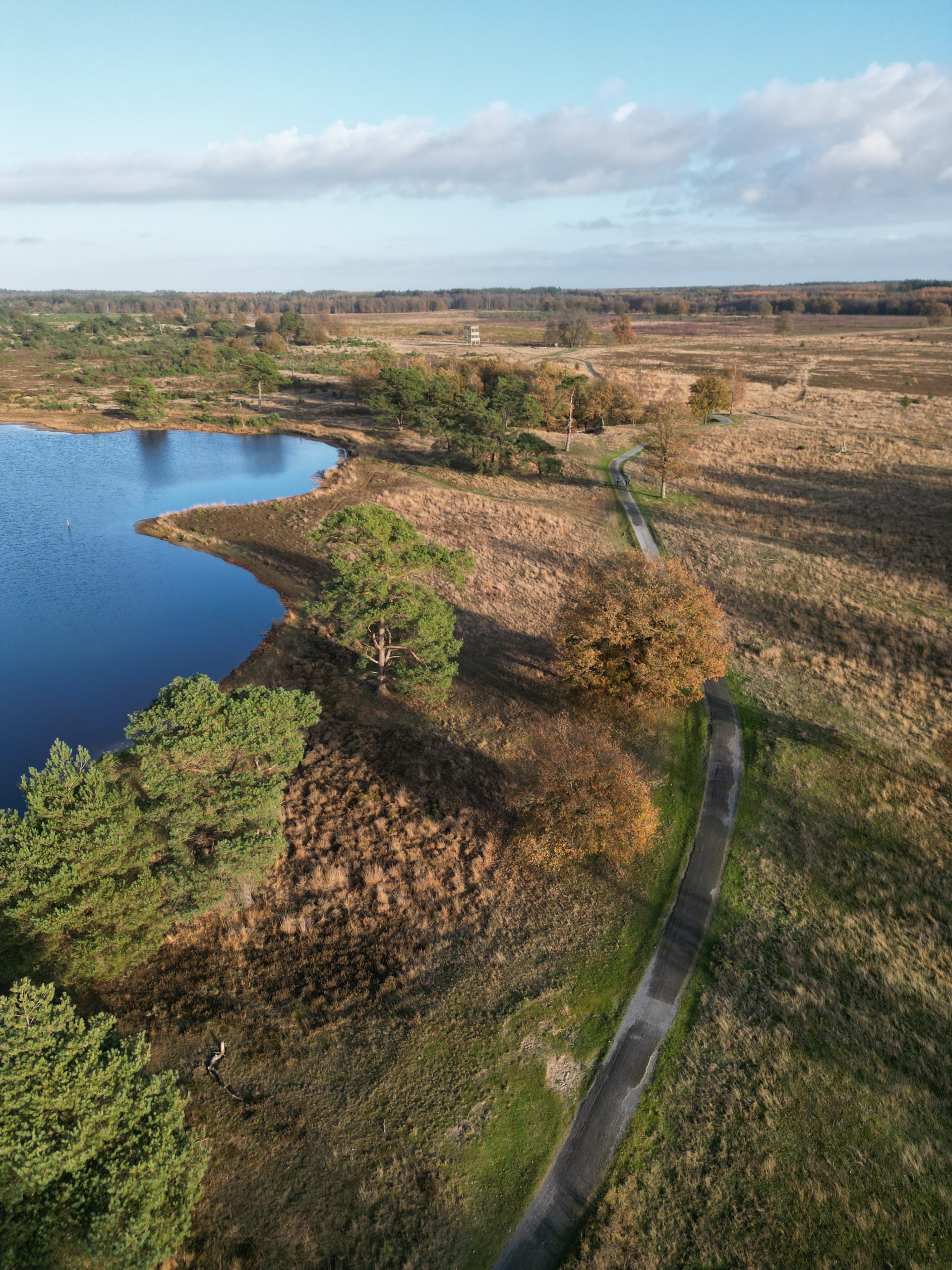 Wandelen op het Aekingerzand (+Uitkijktoren)