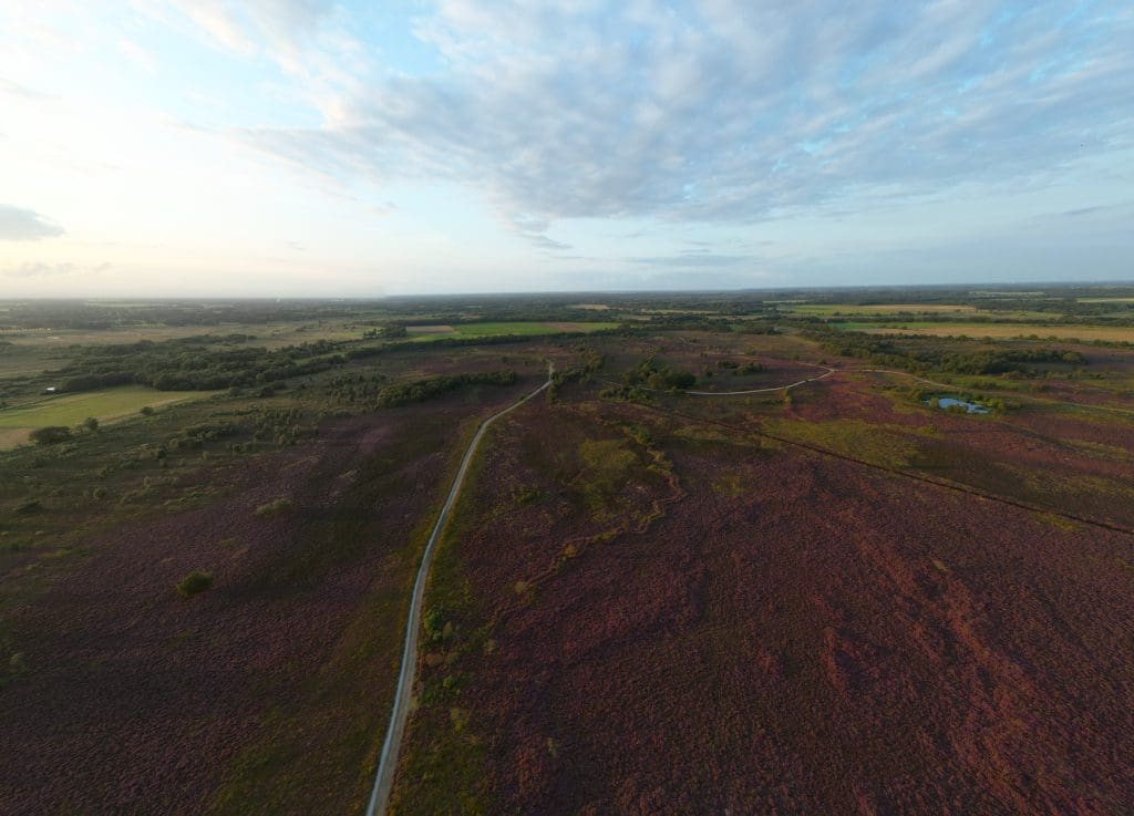 Boswachterspad Ballooërveld