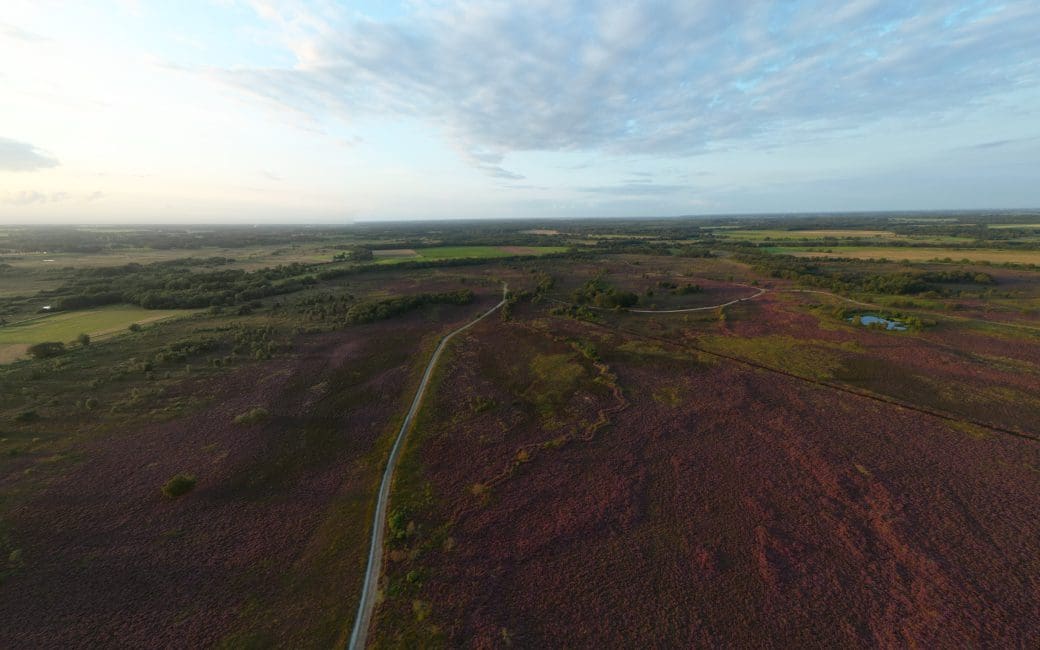 Boswachterspad Ballooërveld