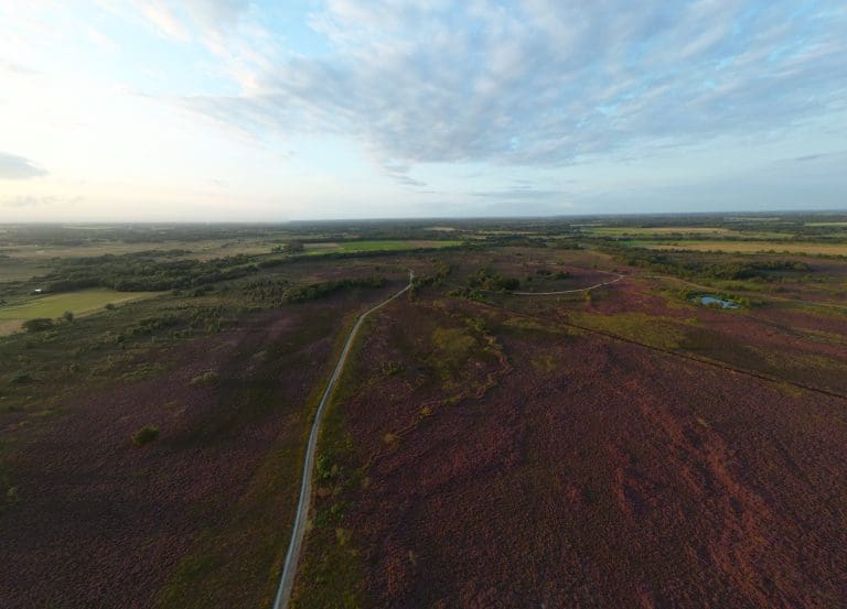Boswachterspad Ballooërveld