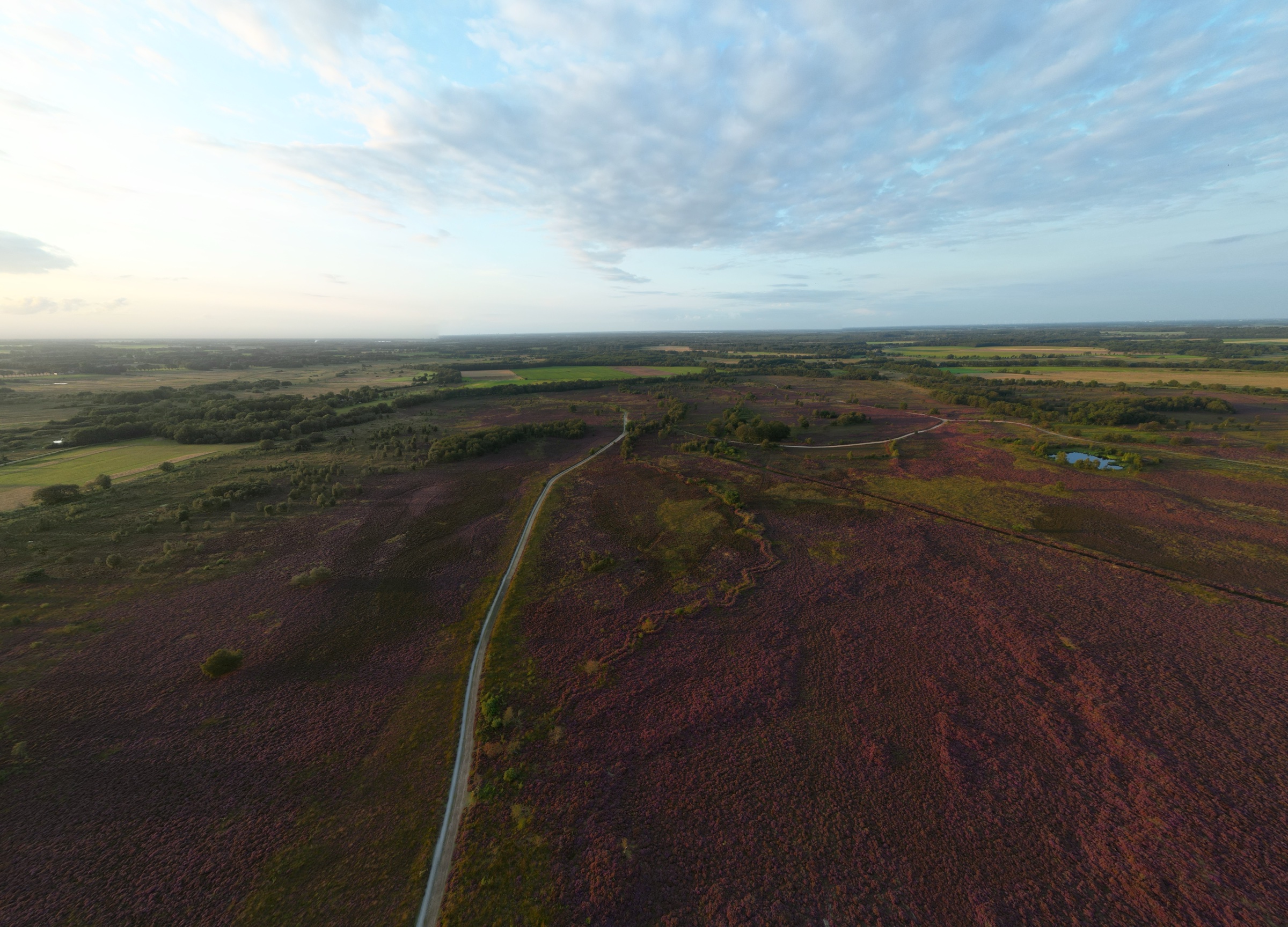 Boswachterspad Ballooërveld