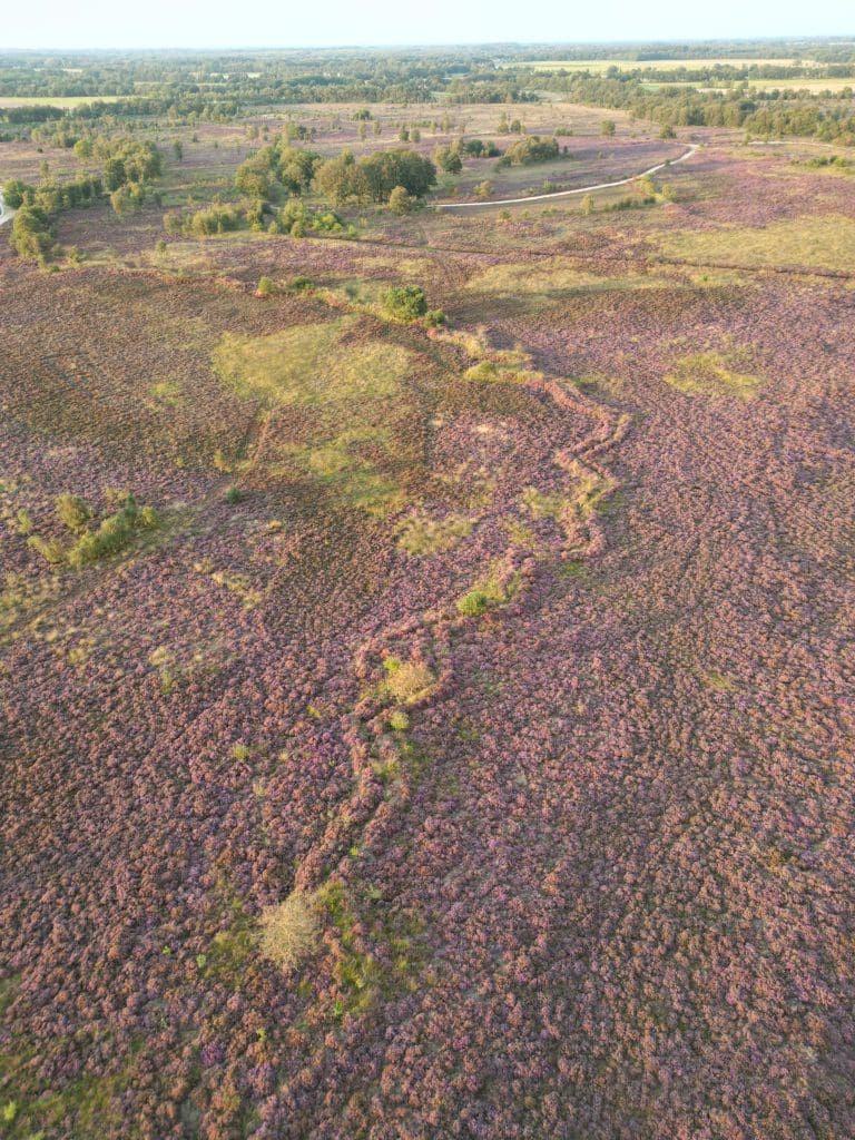 Boswachterspad Ballooërveld