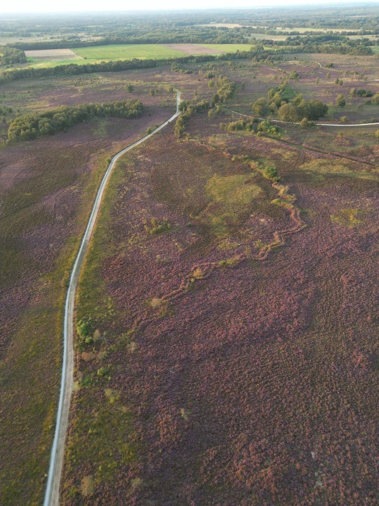 Boswachterspad Ballooërveld