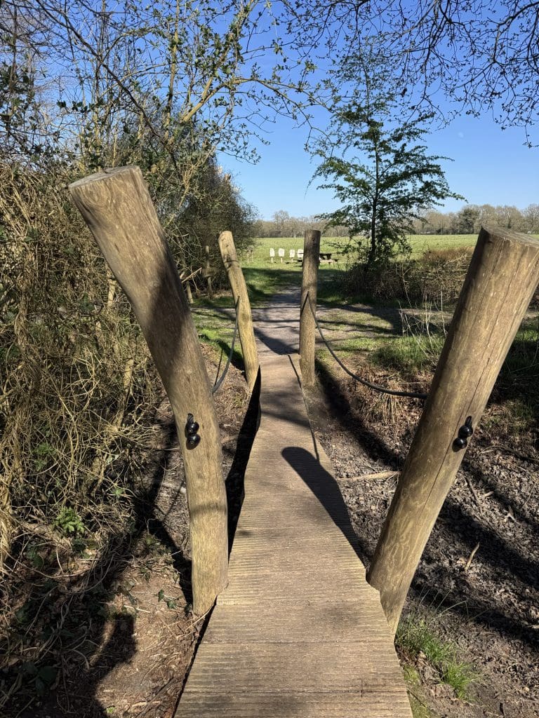 Houten pad van Theodoor