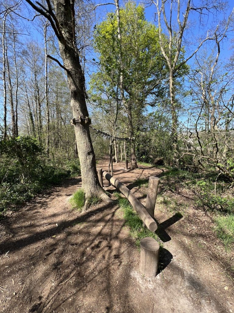 Houten pad van Theodoor