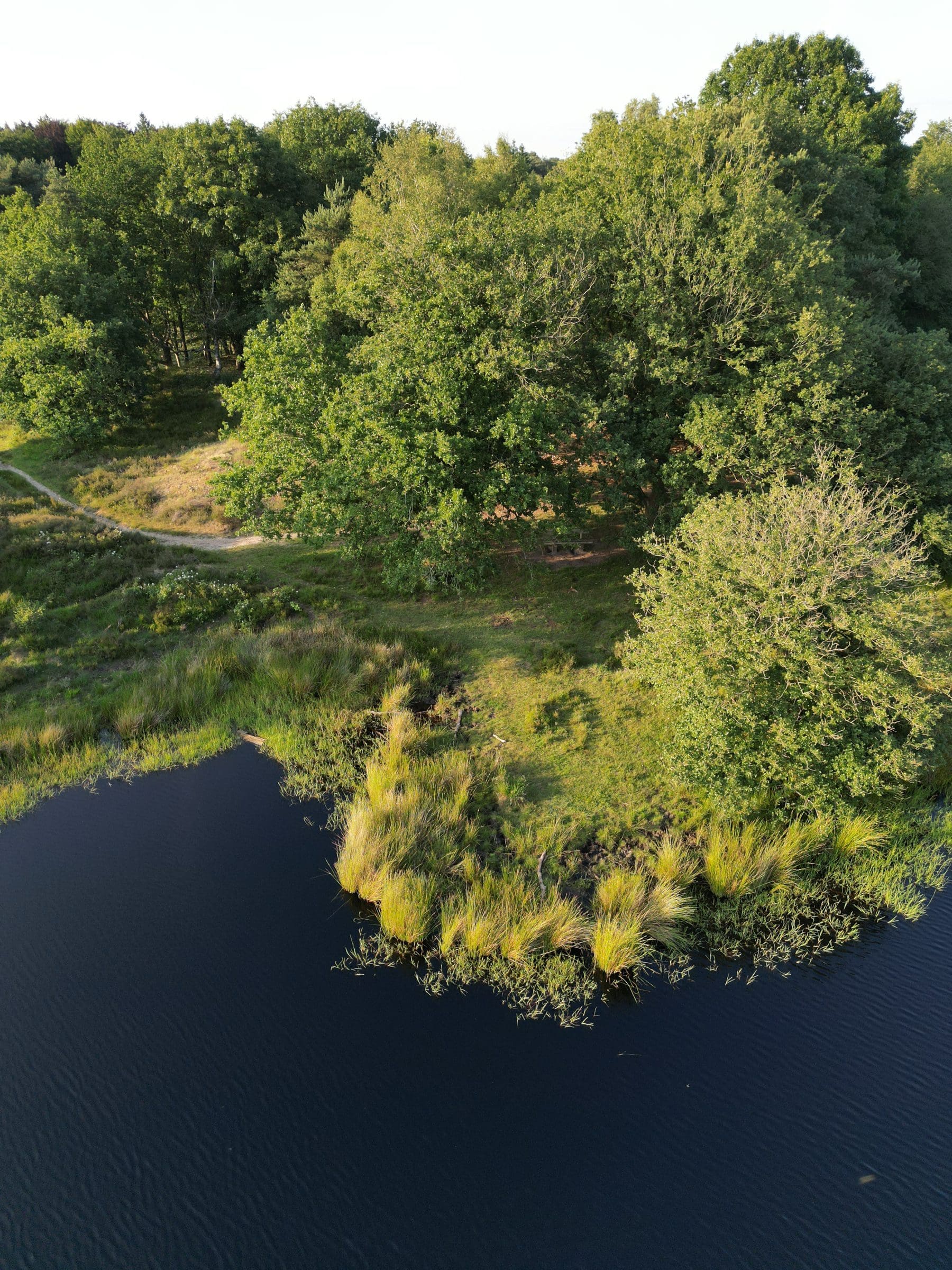 Wandeling over het Terhorsterzand