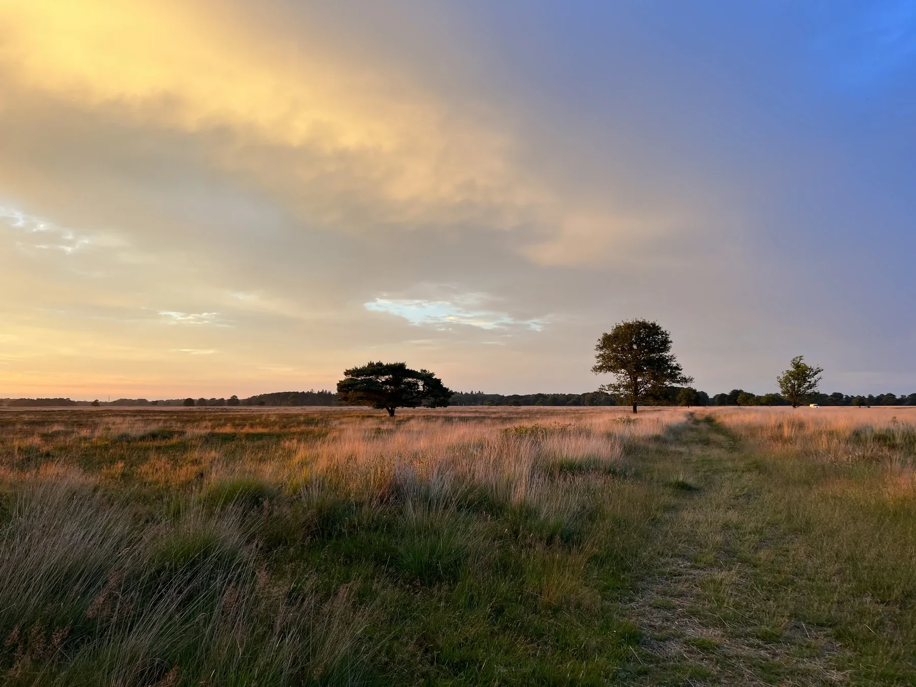Uitzicht over het Doldersummerveld bij zonsondergang